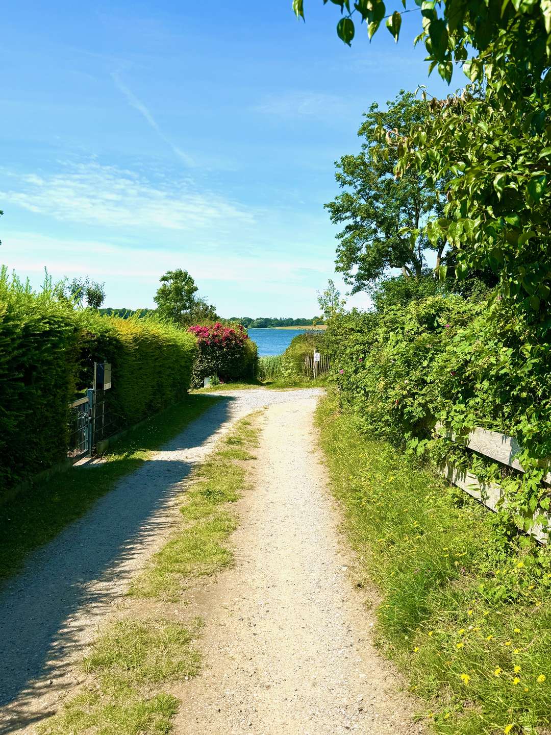 Weg zum See