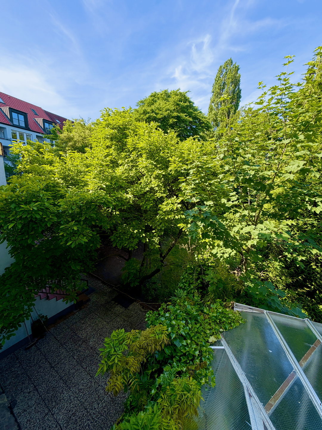 Blick in den Garten