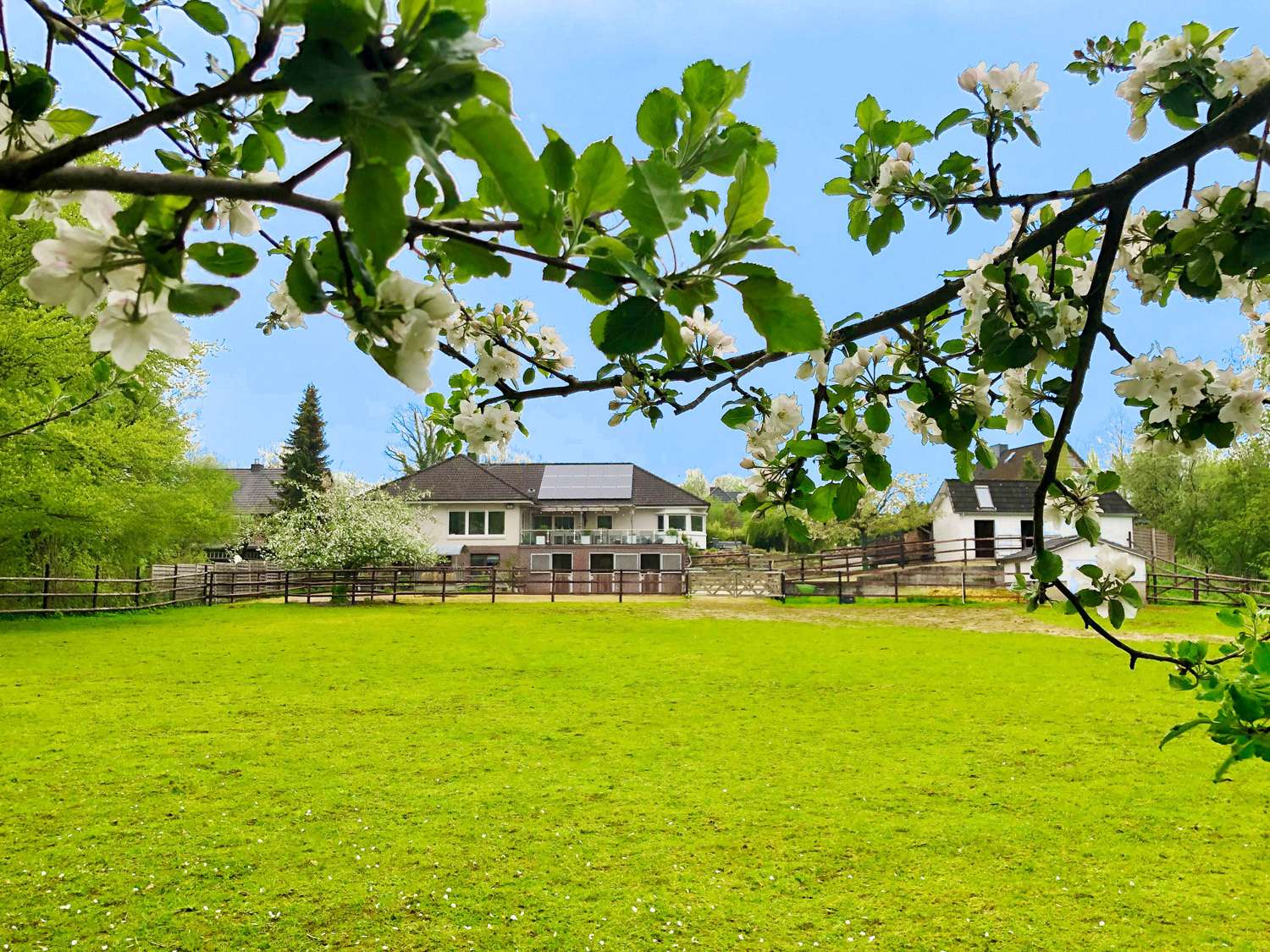 Luxuriöse Traumimmobilie in ruhiger Ortsrandlage - auch ein Anwesen für Pferdebesitzer